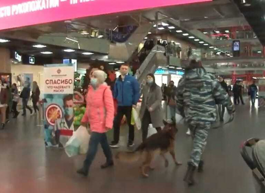 В Волгограде торговые центры вернулись к работе после экстренной эвакуации