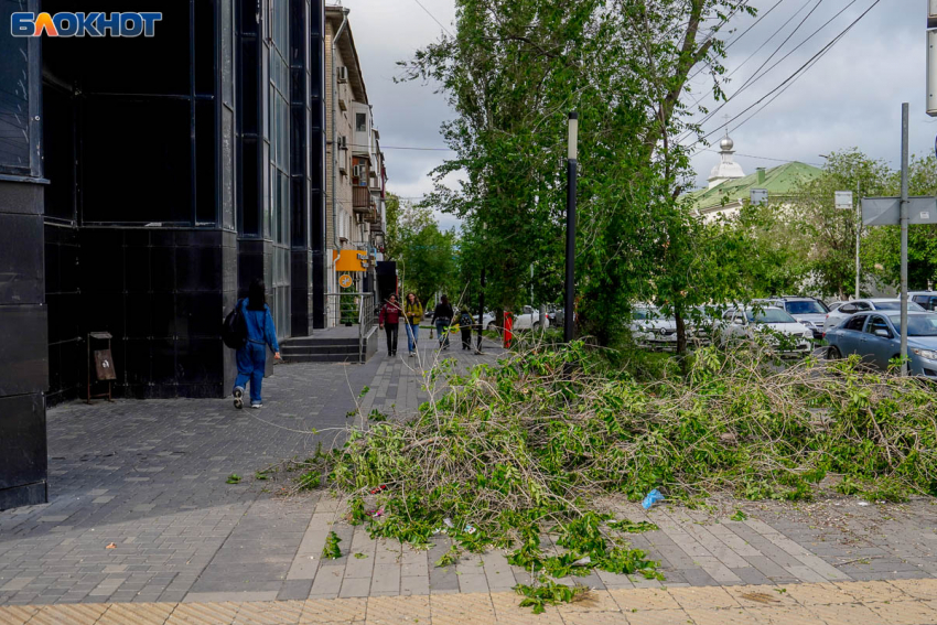 «Деревья с корнями начнут летать»: вторая волна шторма накрыла Волгоград