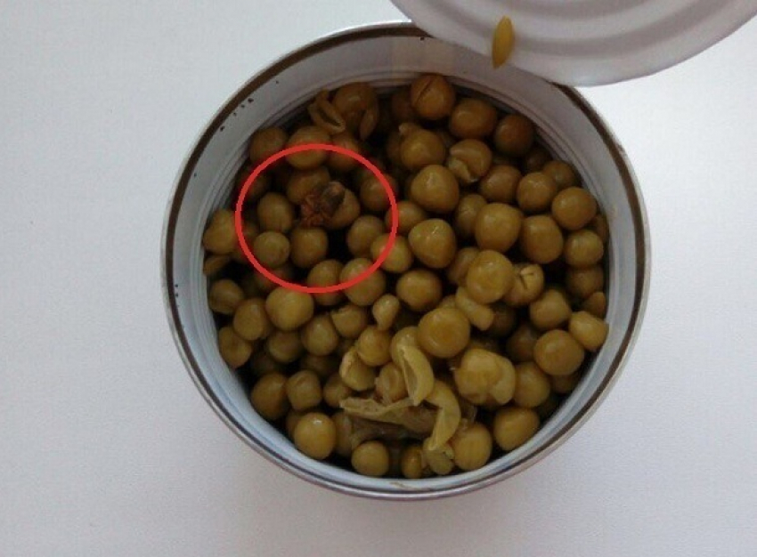 Огромного клопа обнаружил волгоградец в банке с зеленым горошком 