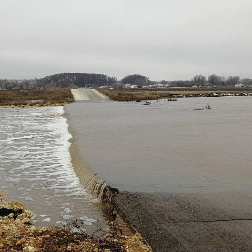 Вода отрезала от «большой земли» целый хутор в Волгоградской области