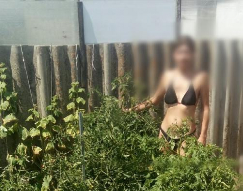 Волгоградка продавала порно изнасилований сына-школьника