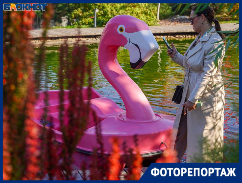 Найдено сногсшибательное место для осенних фотосессий в Волгограде