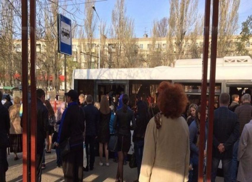Волгоградцы снова пытаются вернуть маршрутки
