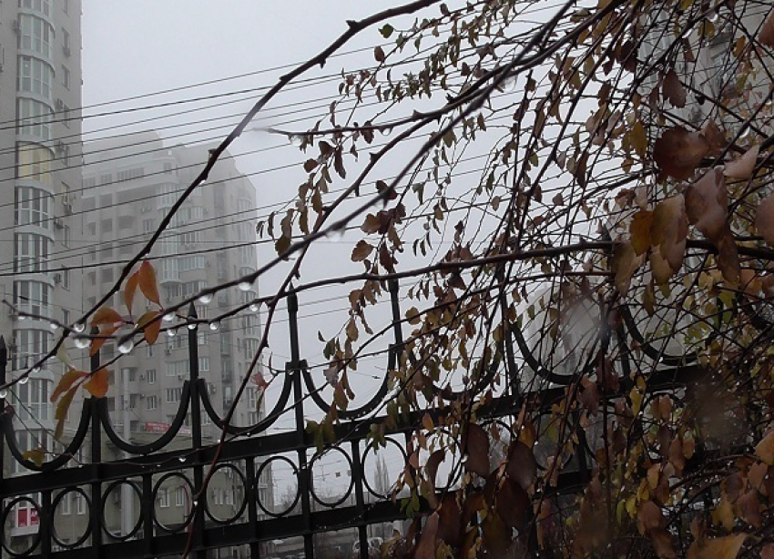 Дождь и туман задержатся в Волгограде до понедельника
