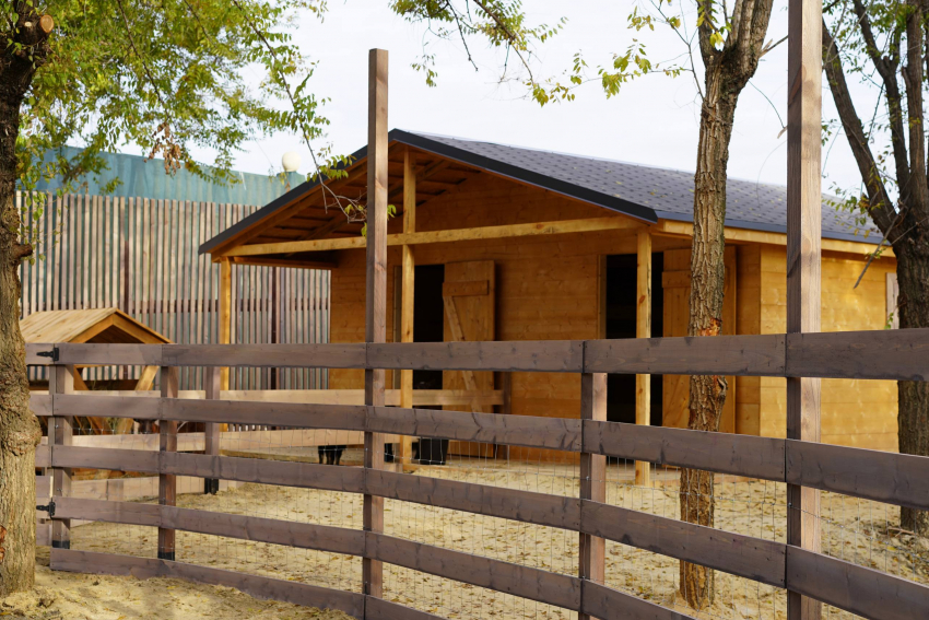 Лань сбежала из живого уголка в Волгограде 