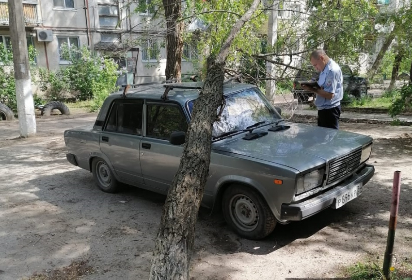 Дерево рухнуло на припаркованную «семерку» в Кировском районе Волгограда