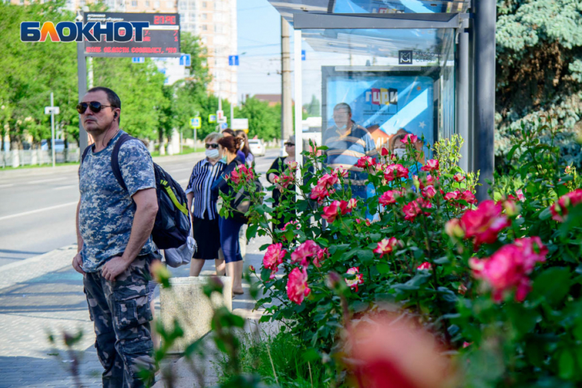 В Волгоградской области с 1 октября повысится стоимость проезда на общественном транспорте 