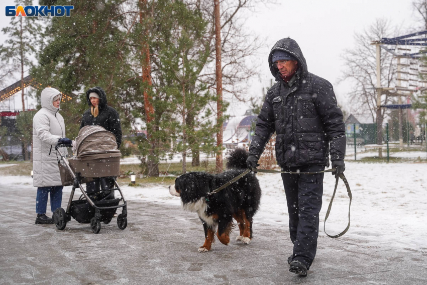 Потепление до +4 и коварный лед под лужами: синоптики сохранили желтый уровень опасности для Волгограда