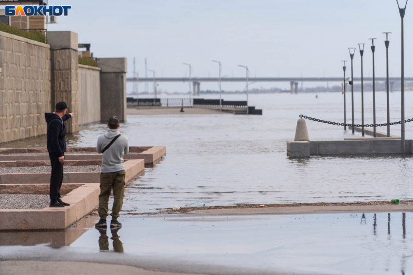 Без осадков и тепло до +14 градусов: погода в Волгограде на 21 апреля