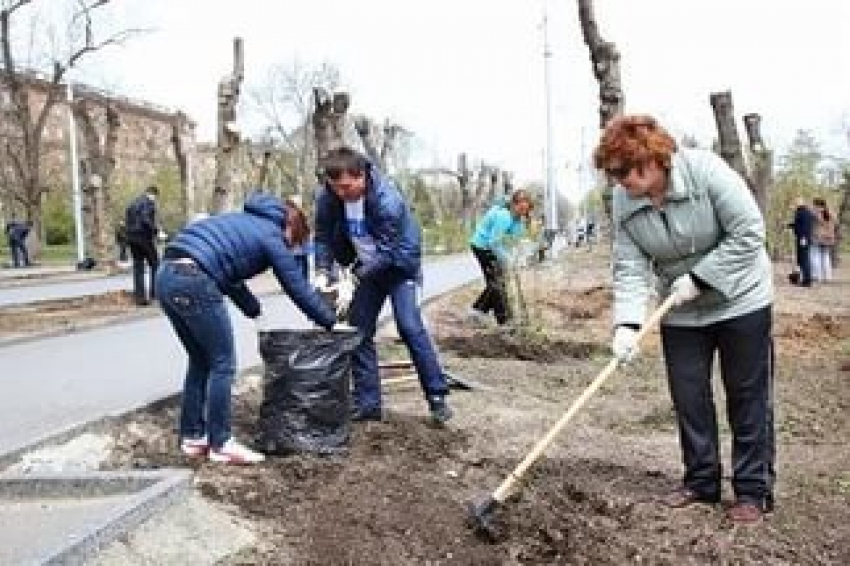 В Волгограде депутаты выйдут на субботник