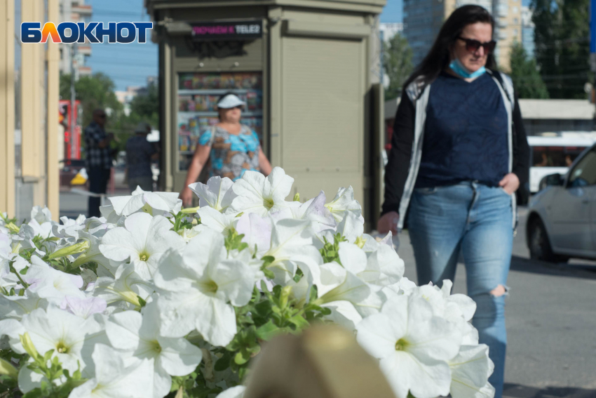 Легкий ветерок спасет волгоградцев от тридцатиградусной жары в понедельник