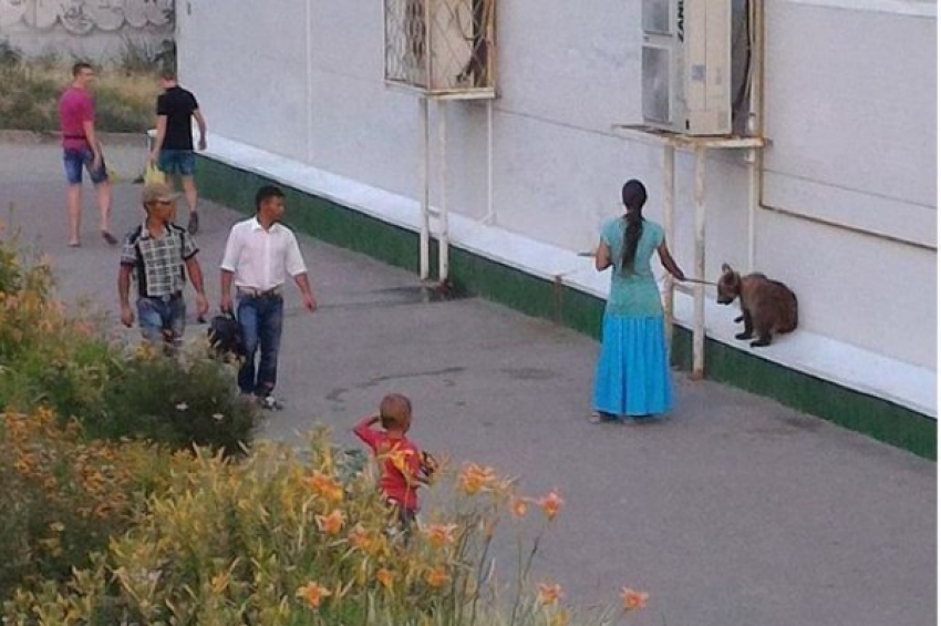 В Волгограде женщина выгуливала медведя