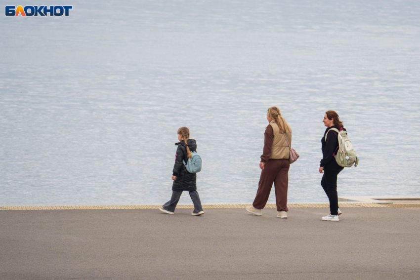 Особые меры для повышения рождаемости введут в Волгоградской области