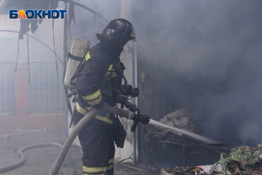 «Собаки заживо горят!»: страшный пожар в волгоградском приюте попал на видео