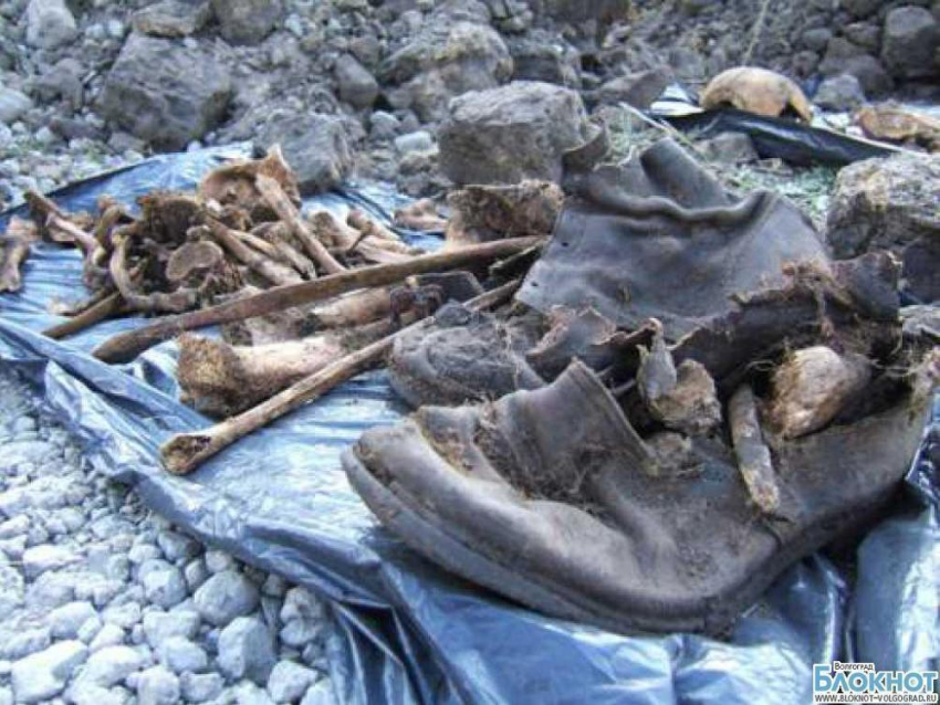 В Волгоградской области нашли останки человека