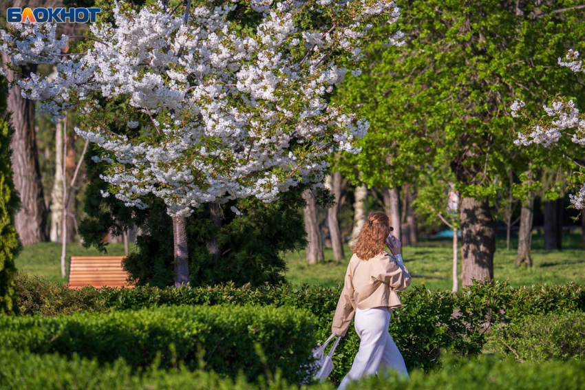 Волгоградская область рванула вверх в экономическом рейтинге 