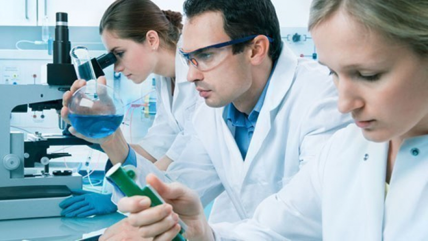 Под Волгоградом в школах кормили некачественными сосисками