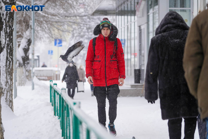 В Волгоградской области 9 февраля потеплеет до +3 градусов