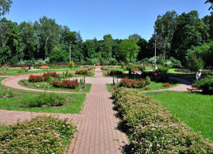 Лучший парк по версии горожан находится на окраине Волгограда 