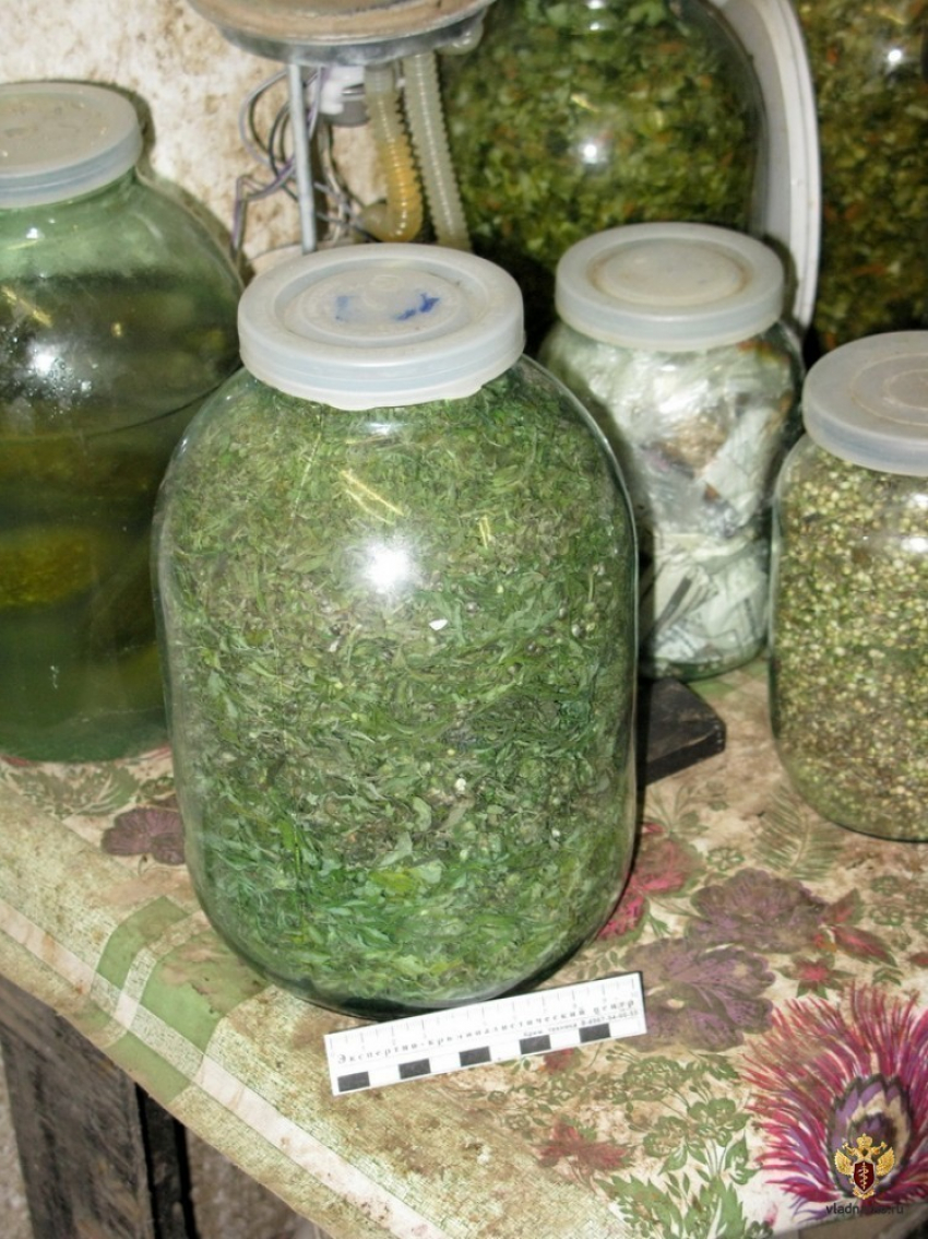 Под Волгоградом осудят 34-летнего мужчину за сбыт наркотиков