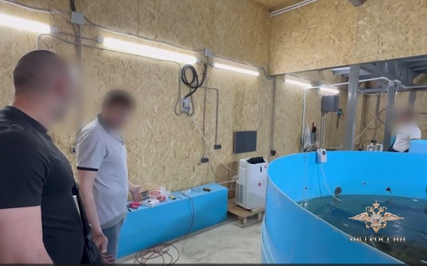 Бассейн с элитными осетрами нашли в волгоградском автосервисе — видео