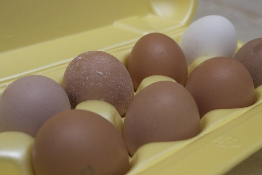В Волгограде цены перестали бить по яйцам