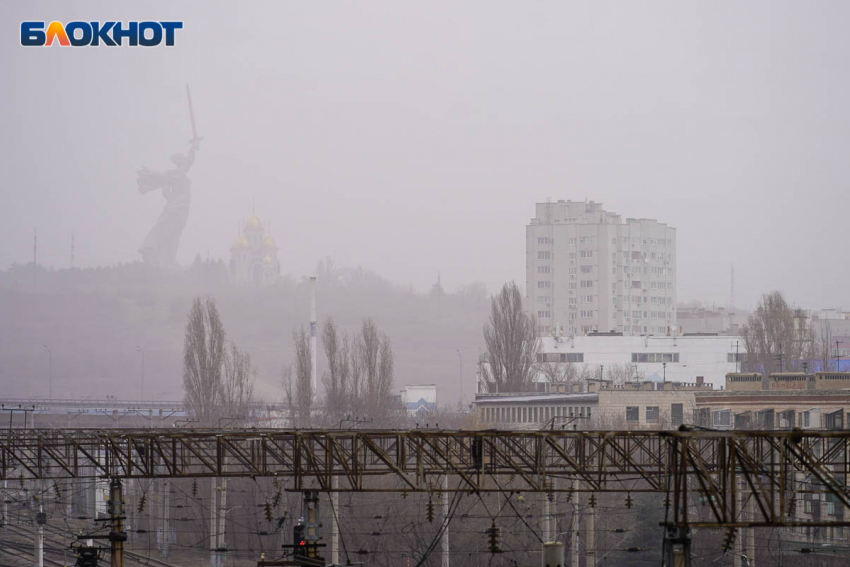 Заморозки пришли в Волгоградскую область 