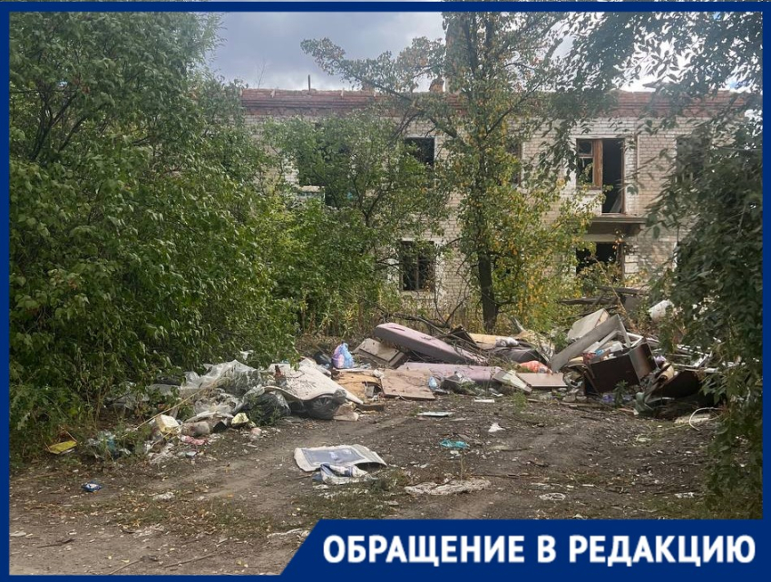 Смертельно опасная приманка манит детей и бомжей на севере Волгограда