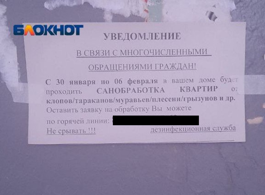 «Это чей-то тараканий бизнес?»: волна мутных объявлений захватила Волгоград