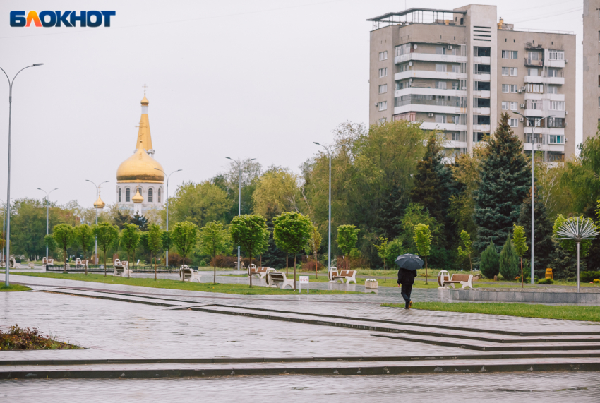 Волжский комбинат благоустройства оштрафован за сговор с подрядчиками на 100 млн рублей