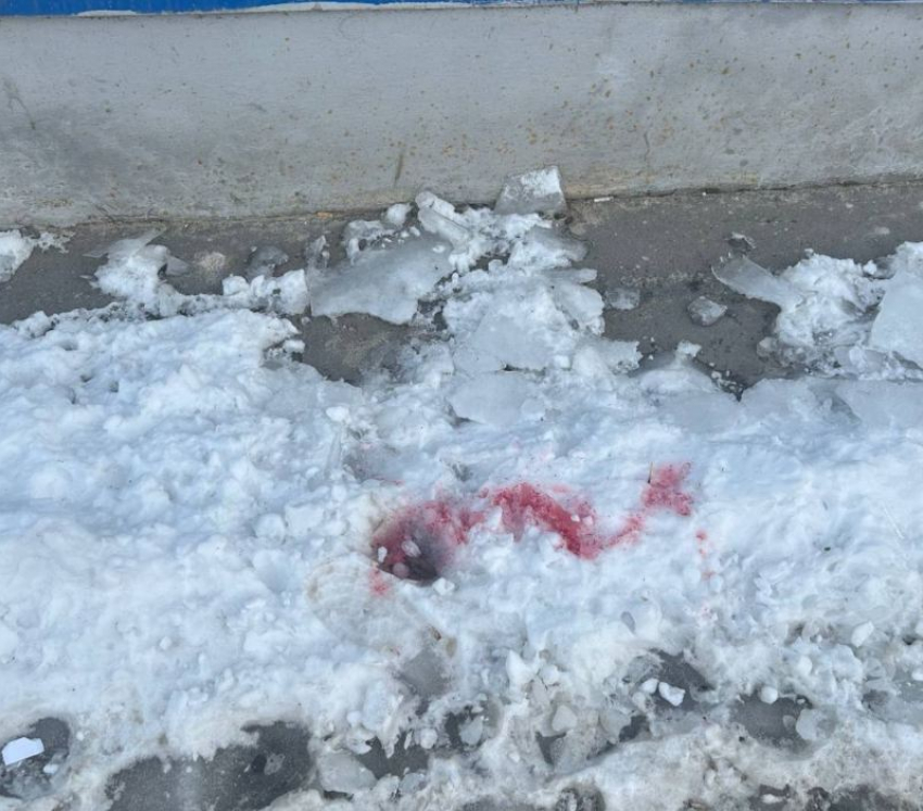 Смертельно опасный розовый снег заметили в Волгограде: лучше не подходить