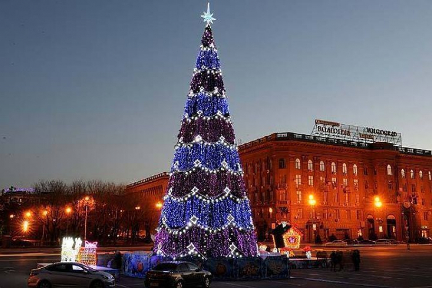 Установка новогодней ели в Волгограде обойдётся в 800 тысяч рублей