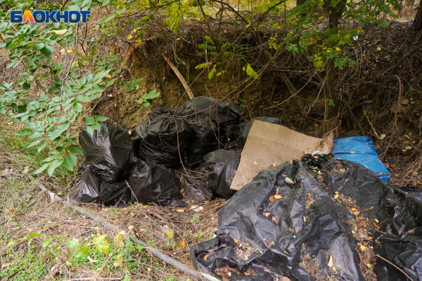 Мэрия Волгограда аврально убирает свалки в двух районах