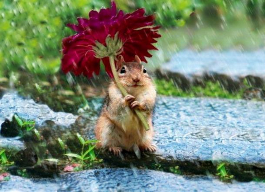 Гроза и дождь придут в Волгоград под 33-градусную жару