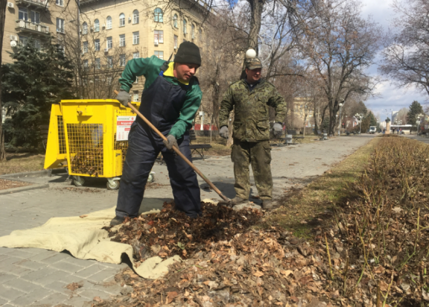 В центре Волгограда «будят» спящие розы