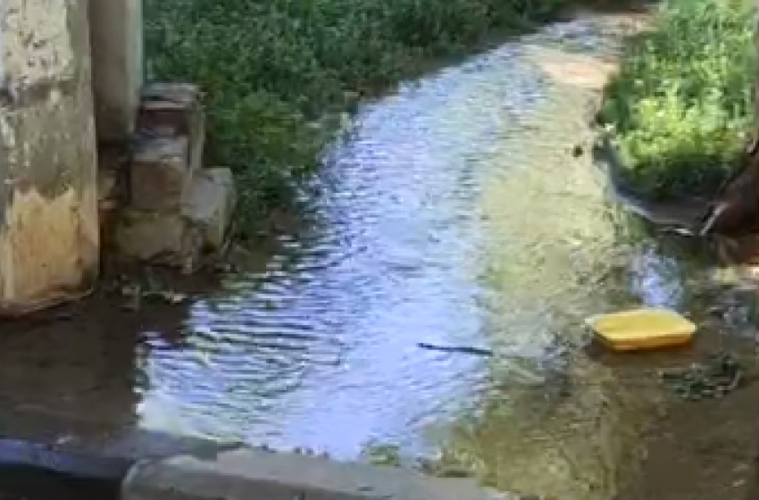Охлаждающий бассейн для голубей лишил волгоградцев воды