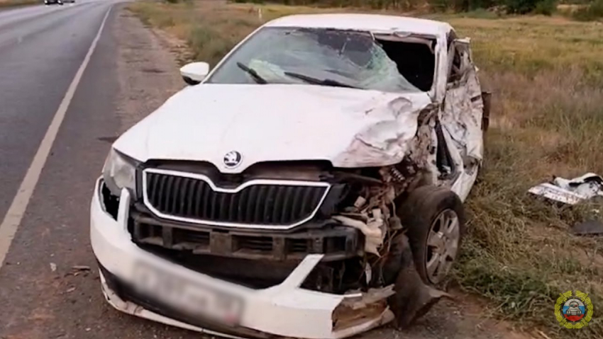 Жуткое ДТП с летальным исходом в Волгоградской области: столкнулись фура и две легковушки