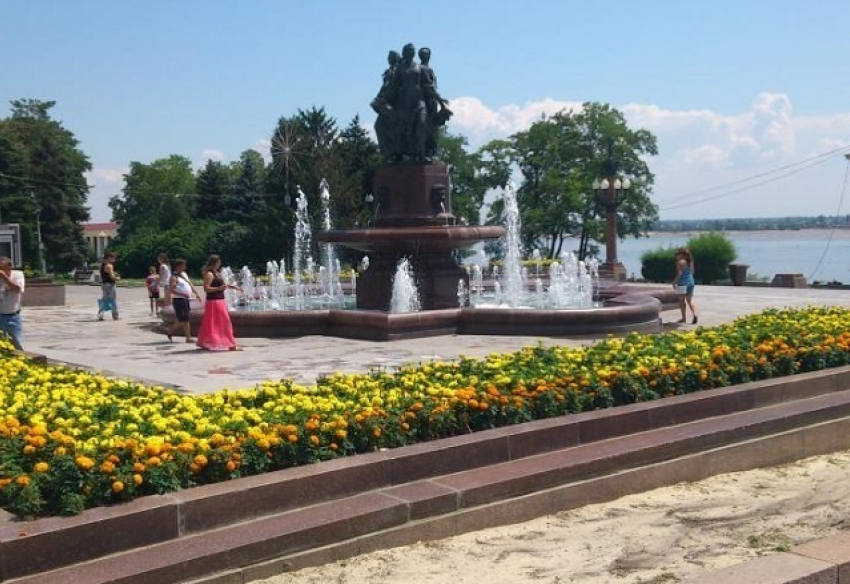 Можжевельник и черемуха украсят центральную набережную в Волгограде  