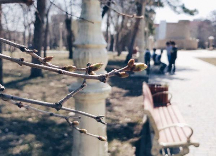 Дожди и сильный ветер ждут волгоградцев на выходные