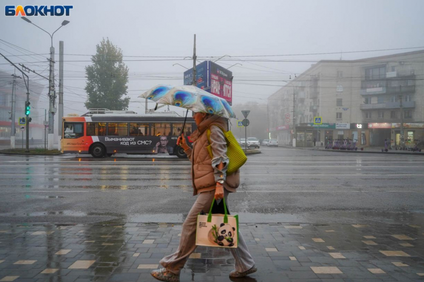 Потепление до +12 градусов идет на Волгоград