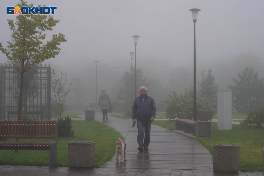 Дожди и ливни накроют Волгоградскую область 20 сентября