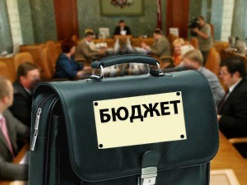 В Волгоградской области депутаты утвердили бюджет на 2015 год