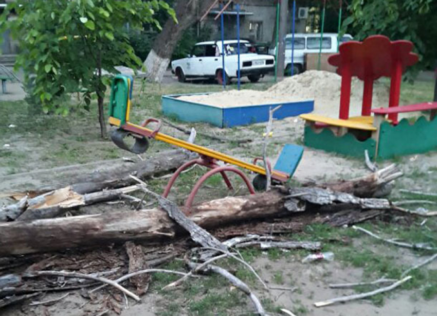 Рухнувшее дерево оставило без площадки детей в центре Волгограда