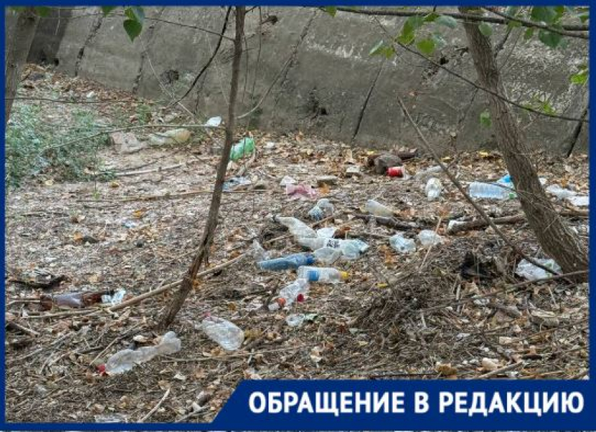 «Страшно и больно смотреть»: туристы загадили живописный уголок в Волгограде 
