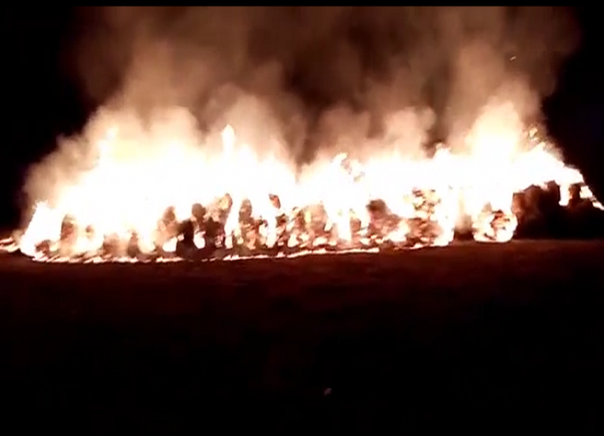 Фермер снял на видео, как сгорело заготовленное на зиму сено в Волгоградской области