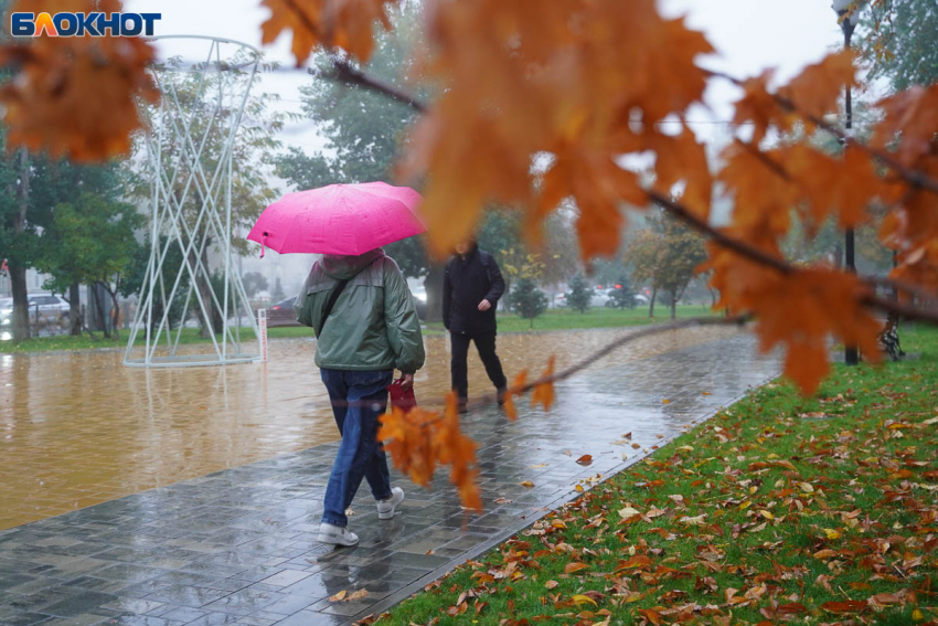 Мороз до -5 ударит по Волгоградской области