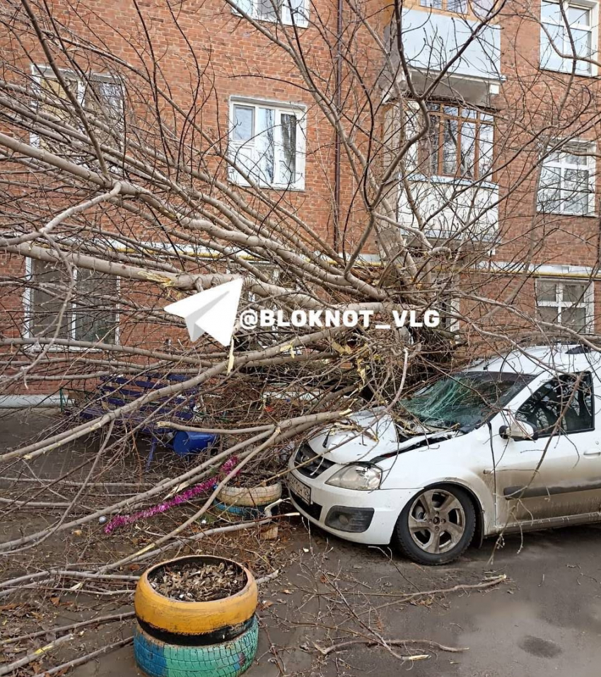 Штормовой ветер обрушил дерево на автомобиль в Волгограде