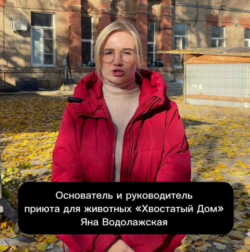 Приют на 2000 животных отключили от отопления в Волгограде