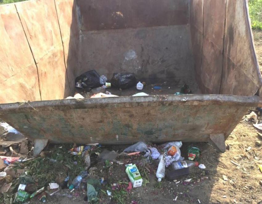 Бездействием УК объяснил волгоградский регоператор скопление мусора под баками 