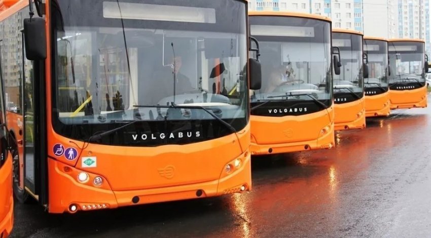 Производители автобусов «Волгабас» в суде оспаривают кредитный долг в 177 миллионов рублей